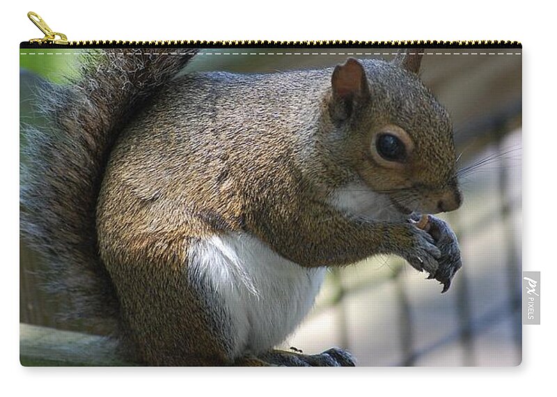 Squirrel Zip Pouch featuring the photograph Squirrel II by Robert Meanor