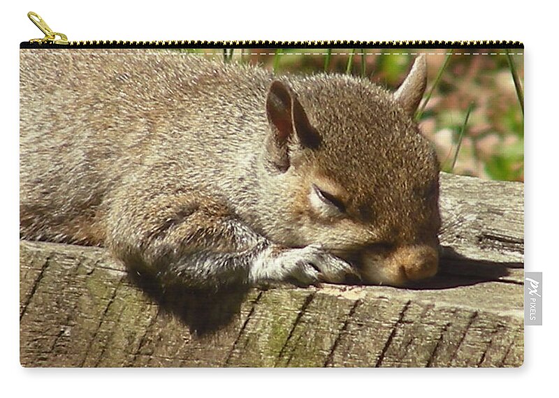 Faunagraphs Zip Pouch featuring the photograph Squirrel Nap by Torie Tiffany