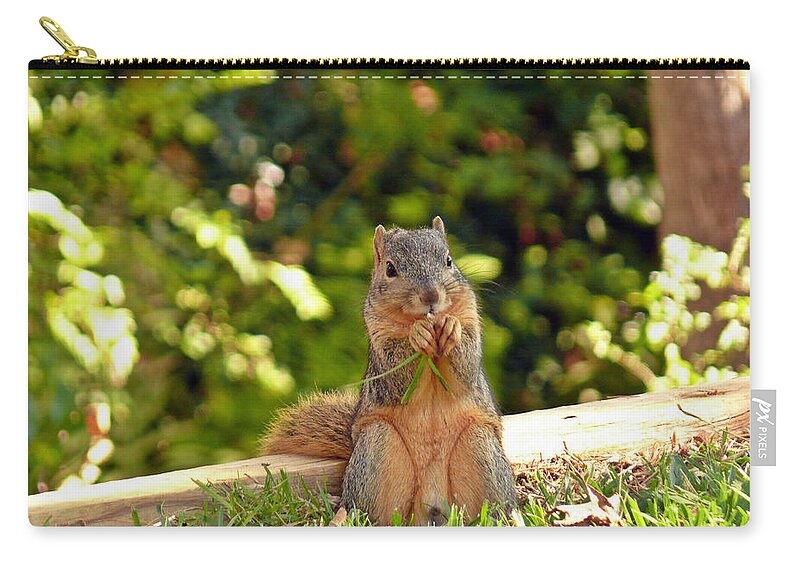 Squirrel Zip Pouch featuring the photograph Squirrel On A Log by Robert Brown