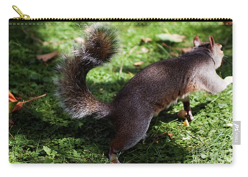 Squirrel Zip Pouch featuring the photograph Squirrel running by Agusti Pardo Rossello