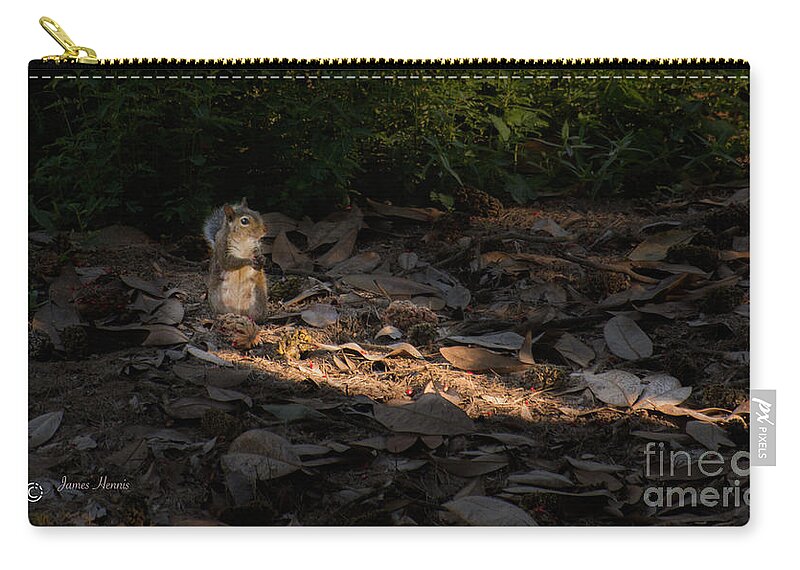 Squirrel Zip Pouch featuring the photograph Squirrel sees the light by Metaphor Photo