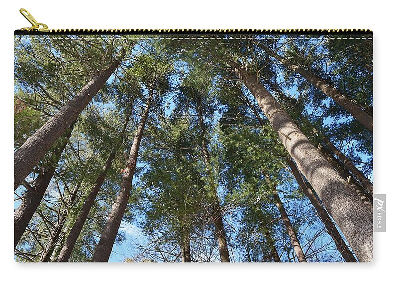 Trees Zip Pouch featuring the photograph Squirrels Highway by Dani McEvoy