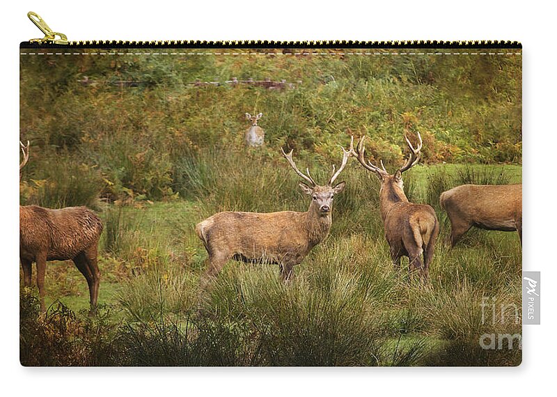 Stags Zip Pouch featuring the photograph Stag Party The Boys by Linsey Williams