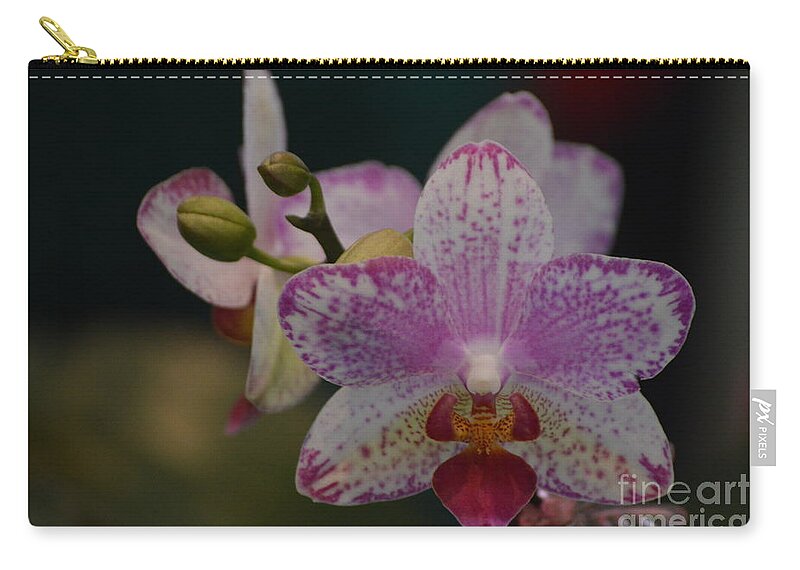 Orchid Zip Pouch featuring the photograph Stages by Nona Kumah