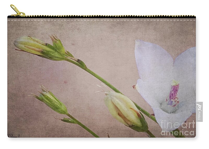Flowers Zip Pouch featuring the photograph Stages of Life by Rebecca Langen