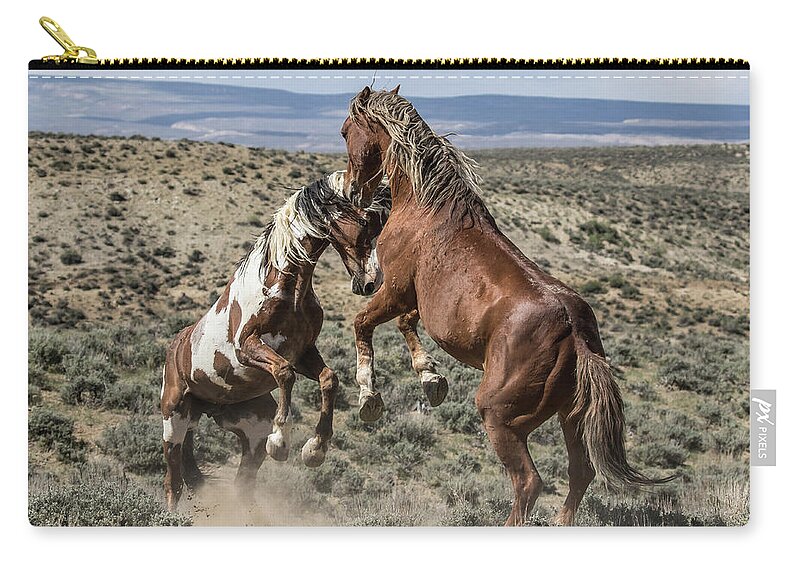 Colorado Zip Pouch featuring the photograph Stallions Battle by Dawn Key