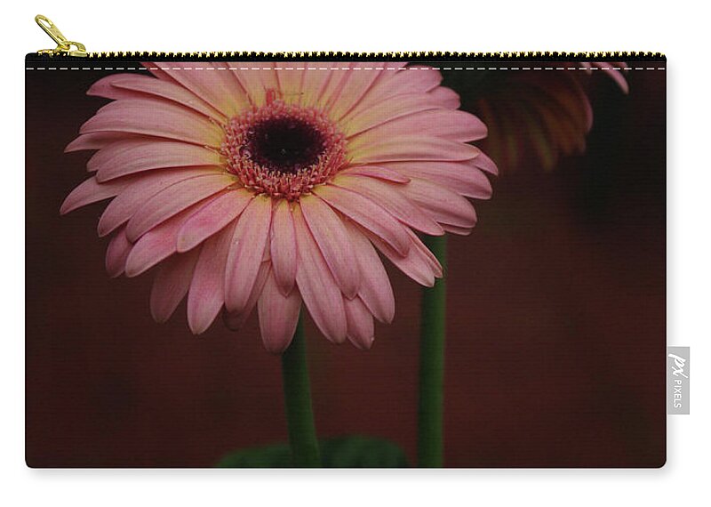 Nature Zip Pouch featuring the photograph  Stand by me by Bess Carter