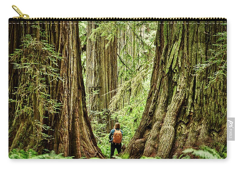 Redwood Zip Pouch featuring the photograph Standing Between the Redwoods by Stuart Litoff