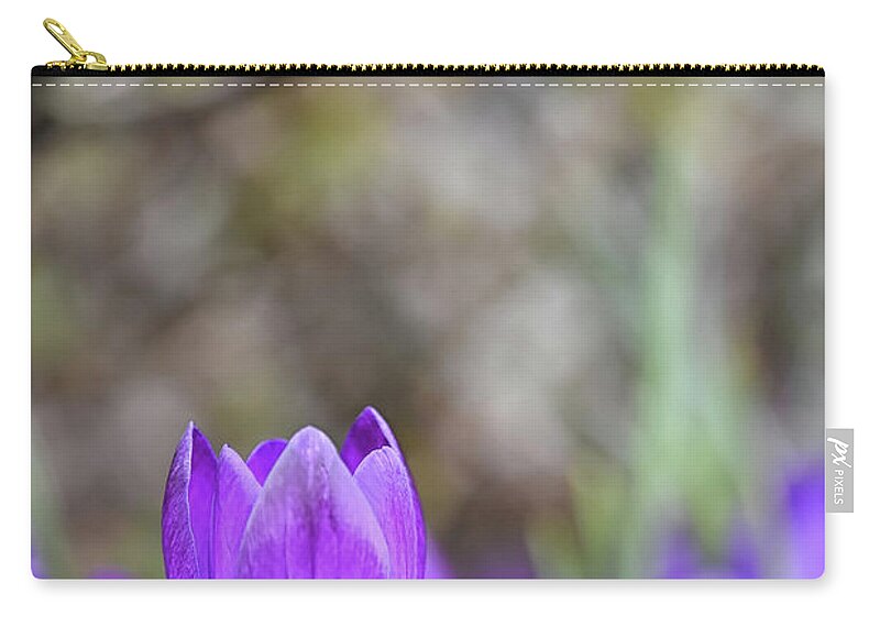 Crocus Zip Pouch featuring the photograph Standing out from the Crowd by Kuni Photography