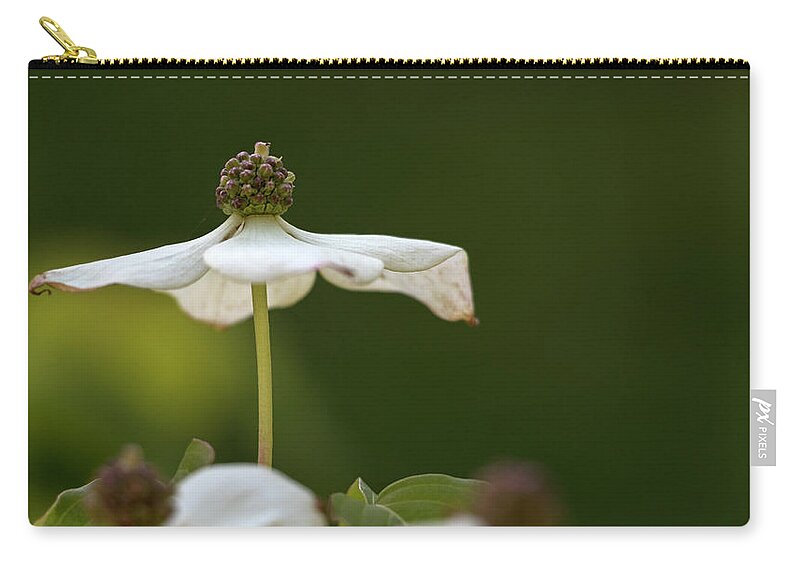 Dogwood Zip Pouch featuring the photograph Standing Tall by Holly Ross