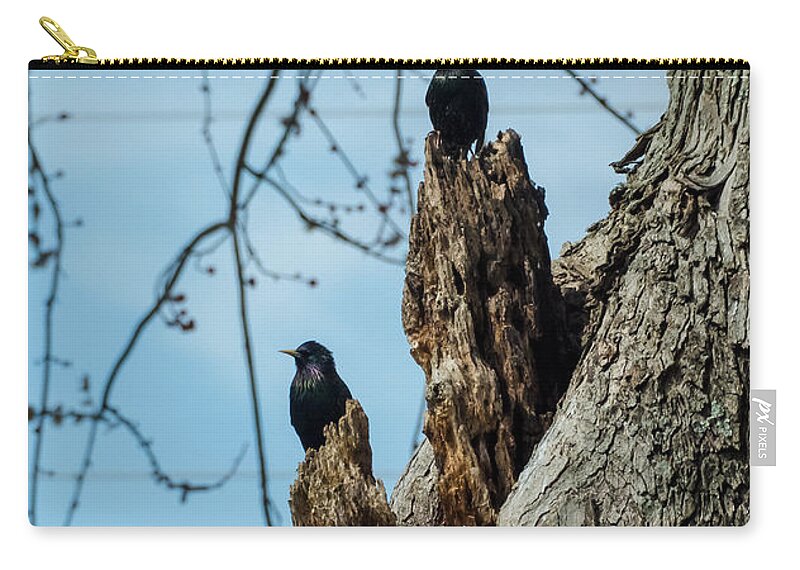 Jan Holden Carry-all Pouch featuring the photograph Starlings Times Two by Holden The Moment