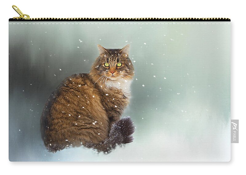 Theresa Tahara Zip Pouch featuring the photograph Starting To Snow Again by Theresa Tahara