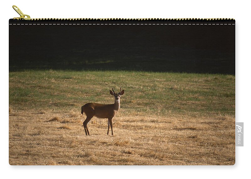 Mule Deer Zip Pouch featuring the photograph Stately Pose - Mule Deer by Soli Deo Gloria Wilderness And Wildlife Photography