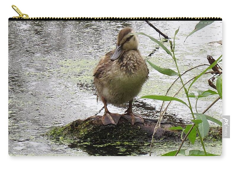 Lonely Duckling Zip Pouch featuring the photograph Stepping Out On My Own by I'ina Van Lawick