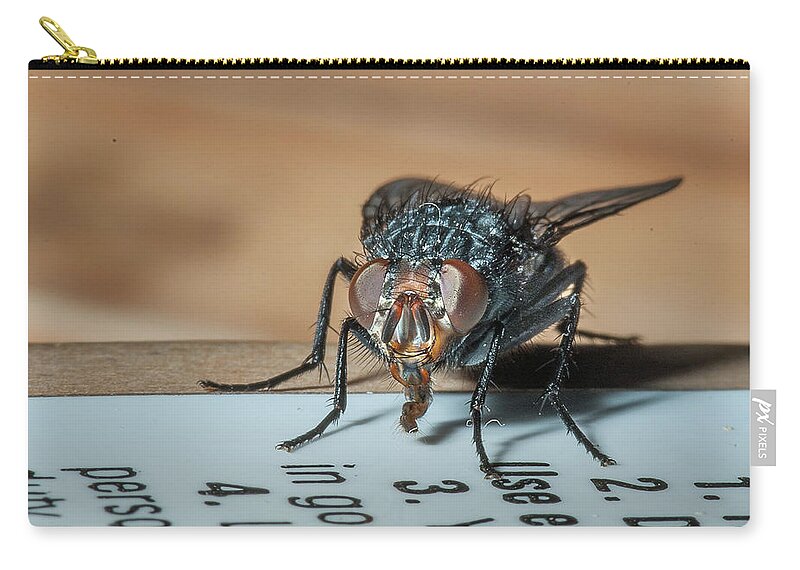 Fly Zip Pouch featuring the photograph Sticking out his Tongue by Greg Nyquist