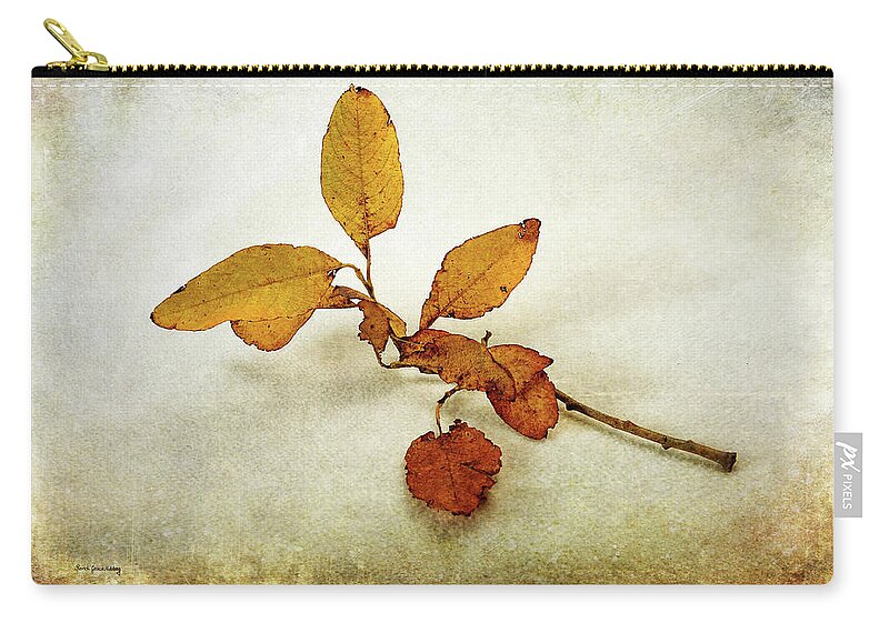 Structure Zip Pouch featuring the photograph Still Dancing by Randi Grace Nilsberg