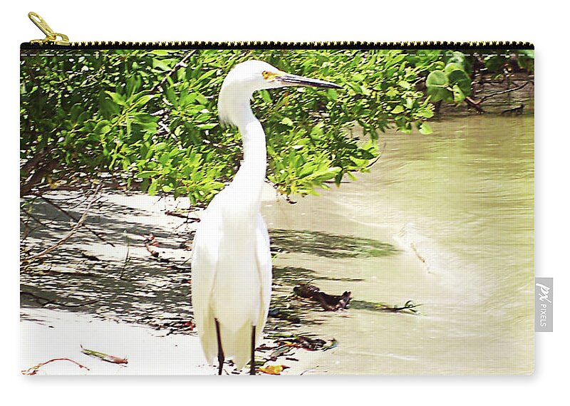 Florida Zip Pouch featuring the photograph Still Looking for Lunch GP by Chris Andruskiewicz