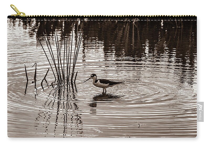 Florida Zip Pouch featuring the photograph Stilt Wading at Green Cay Wetlands Boynton Beach Florida by Lawrence S Richardson Jr