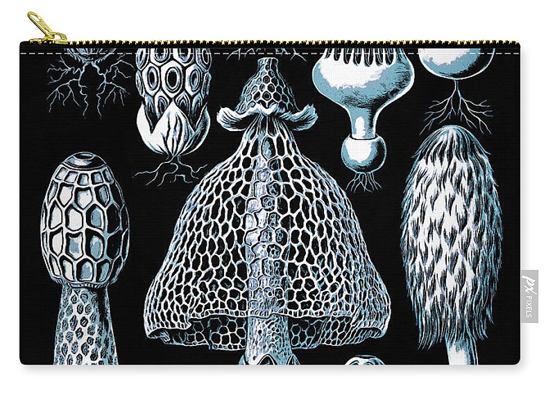 Scientific Zip Pouch featuring the drawing Stinkhorn Mushrooms Vintage Illustration by Edward Fielding