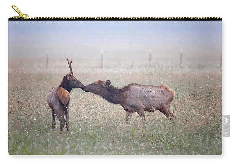 Elk Zip Pouch featuring the photograph Stolen Kiss by Eilish Palmer