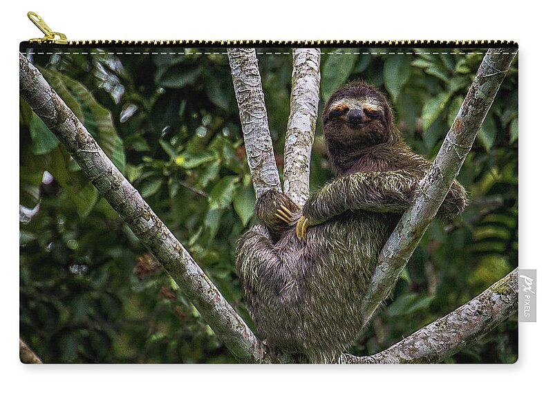 Sloth Zip Pouch featuring the photograph Stoned Sloth by Doug Sturgess