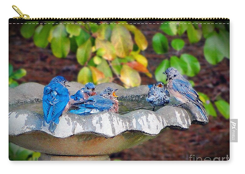 Bluebird Zip Pouch featuring the photograph Stop all the Fighting Children by Sue Melvin