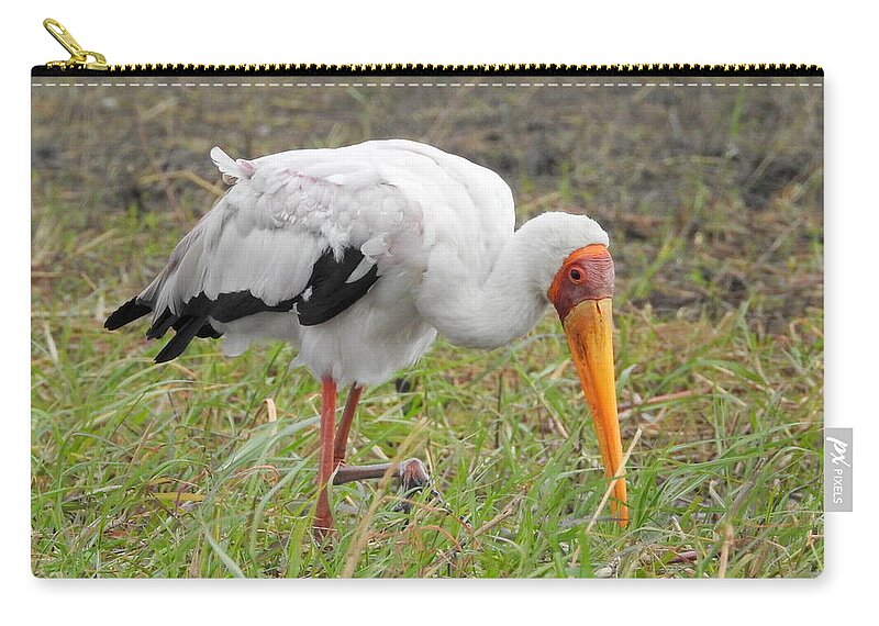 Yellow-billed Stork Zip Pouch featuring the photograph Stork by Betty-Anne McDonald