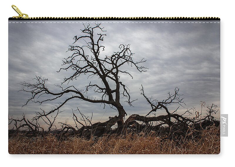 Tree Zip Pouch featuring the photograph Storms Make Trees Take Deeper Roots by Viviana Nadowski
