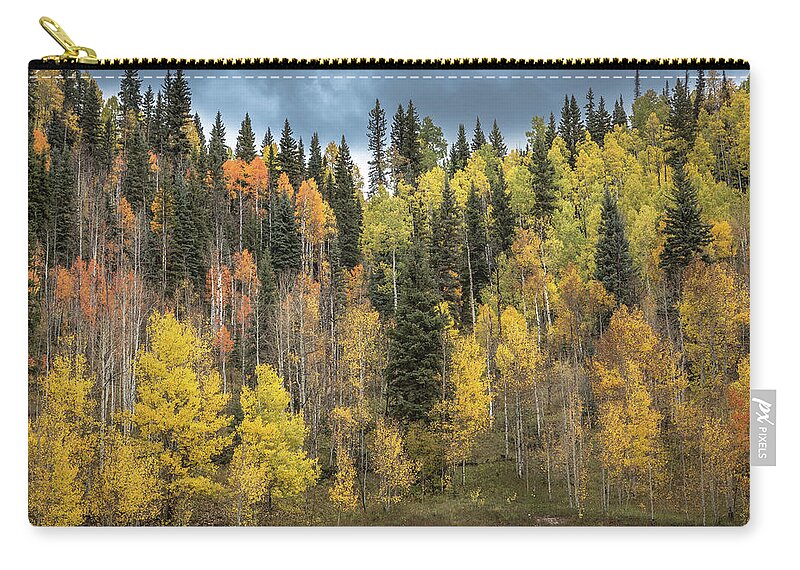Aspens Zip Pouch featuring the photograph Stormy September by Jen Manganello