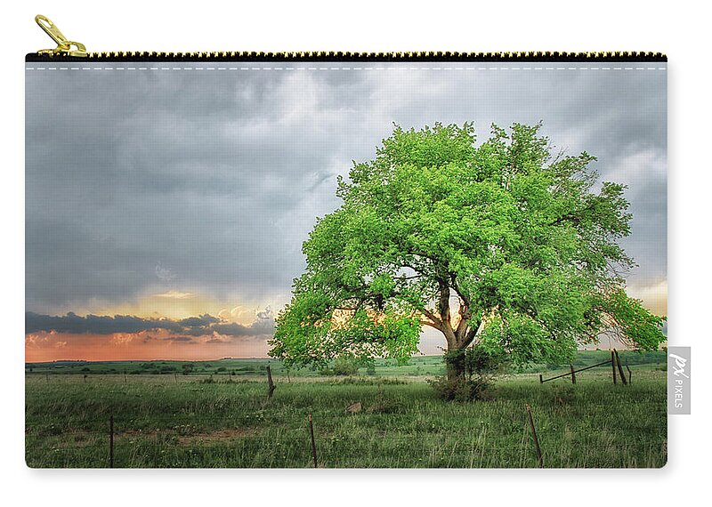 Storm Zip Pouch featuring the photograph Stormy Tree by Jolynn Reed