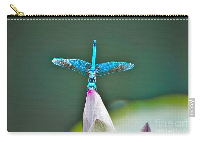 Dragonfly Zip Pouch featuring the photograph Straight up by Merle Grenz