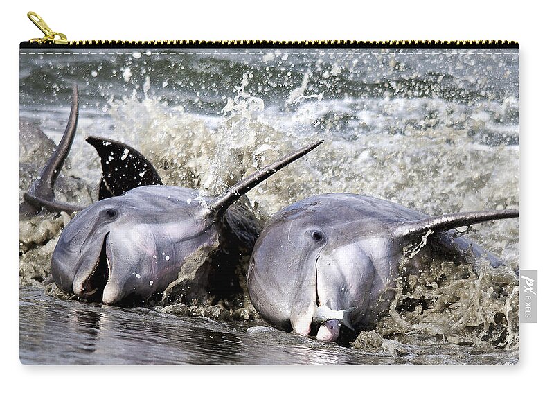 Dolphins Zip Pouch featuring the photograph Strand Feeding by Jim Miller