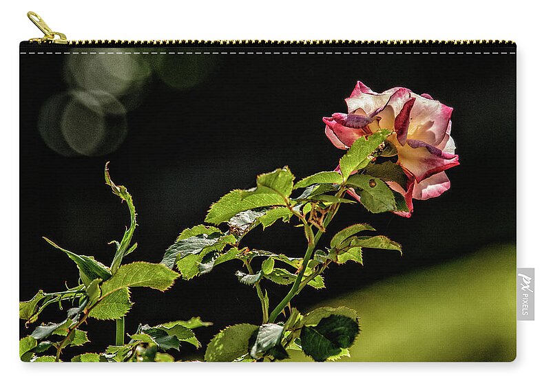 Rose Zip Pouch featuring the photograph Stretching For The Sungoddess..... by Paul Vitko