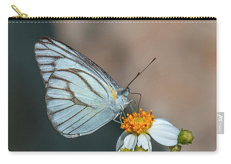 Nature Zip Pouch featuring the photograph Striped Albatross Butterfly DTHN0209 by Gerry Gantt