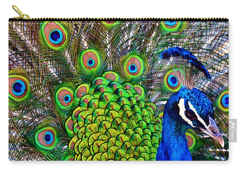 Zoo Zip Pouch featuring the photograph Strut by Angelina Tamez