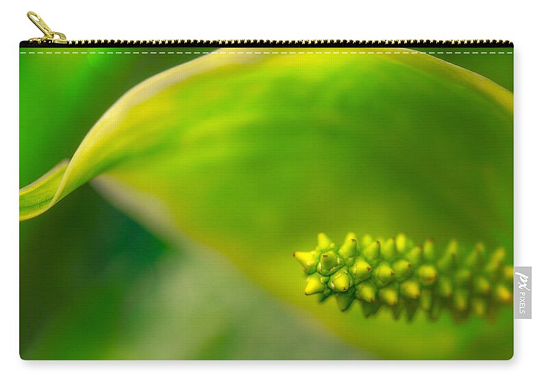 Studs Zip Pouch featuring the photograph Studs and Curl by Jade Moon 