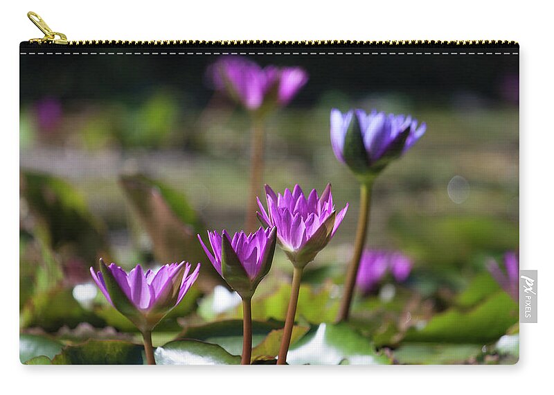 Photograph Zip Pouch featuring the photograph Stuff of Dreams by Suzanne Gaff