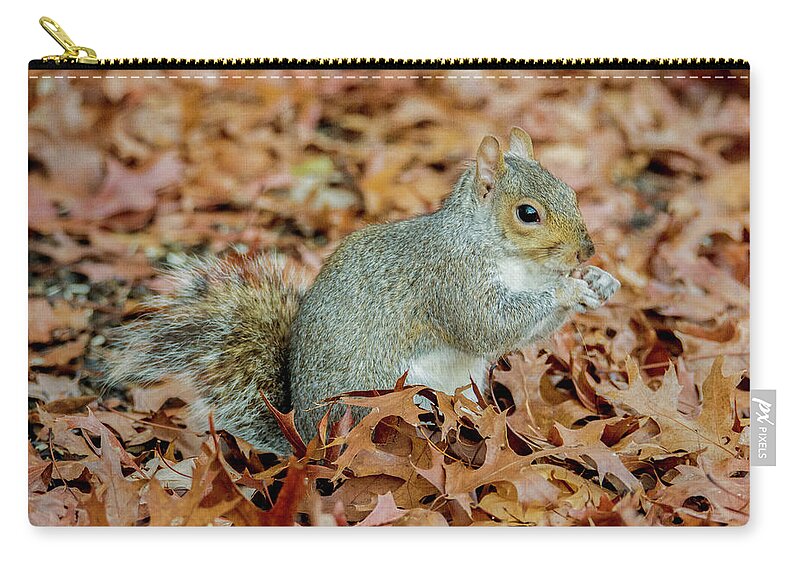 Squirrel Zip Pouch featuring the photograph Stumpy The Squirrel by Cathy Kovarik