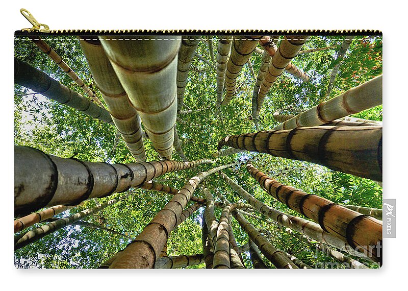 Brasil Zip Pouch featuring the photograph Stunning Bamboo Forest - Color by Carlos Alkmin