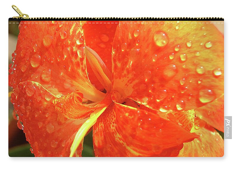 Canna Lily Photography Zip Pouch featuring the photograph Stunning Canna Lily by Karen Nicholson
