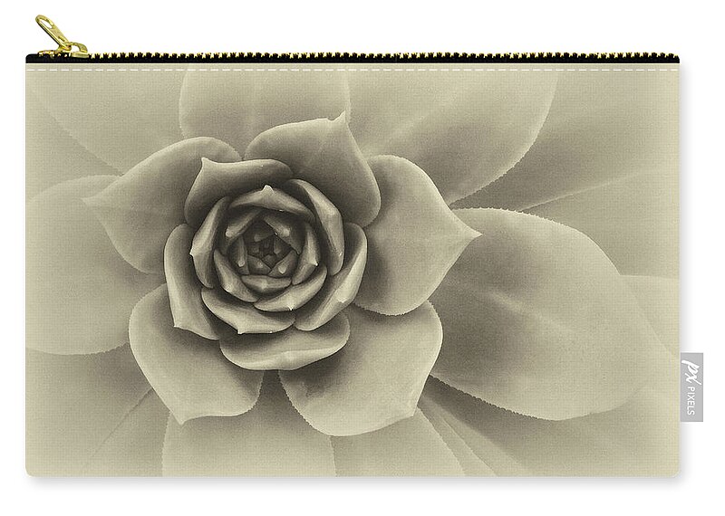 Succulent Closeup Abstract Zip Pouch featuring the photograph Succulent Closeup Abstract Black and White by Ram Vasudev