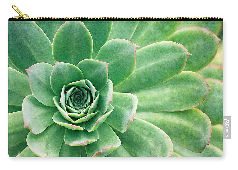 Plants Zip Pouch featuring the photograph Succulents II by Angie Schutt