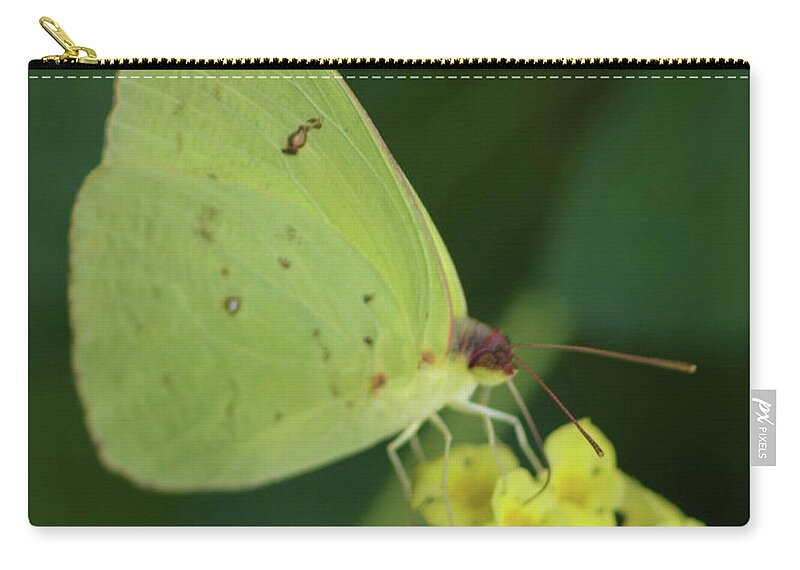 Nature Zip Pouch featuring the photograph Sulphur-Mimosa by Bess Carter