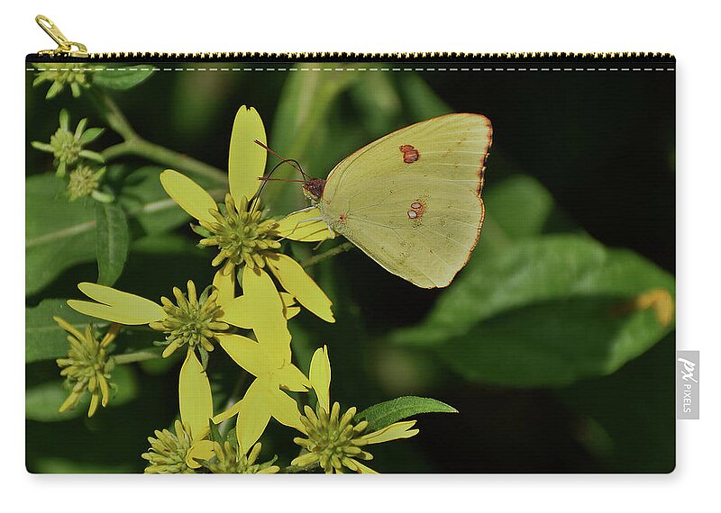Animals Zip Pouch featuring the photograph Sulphur On Yellow by Skip Willits