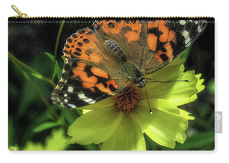 Butterfly Zip Pouch featuring the photograph Summer beauty by Bruce Carpenter