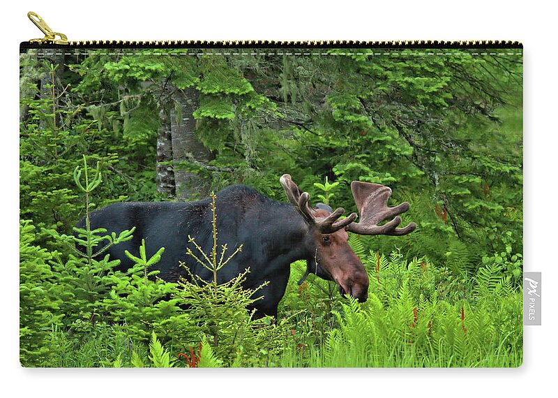 Moose Zip Pouch featuring the photograph Summer Bull by Harry Moulton
