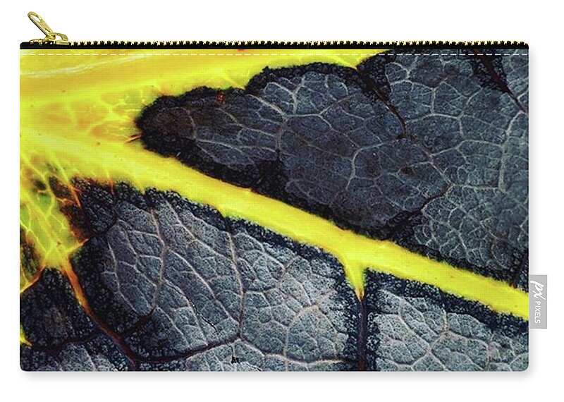 Gray Zip Pouch featuring the photograph Summer Drains Away. #autumn #autumnleaf by Ginger Oppenheimer