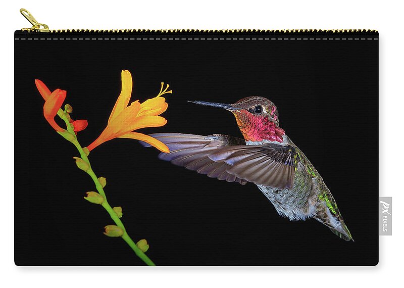 Animal Zip Pouch featuring the photograph Summer Loving by Briand Sanderson