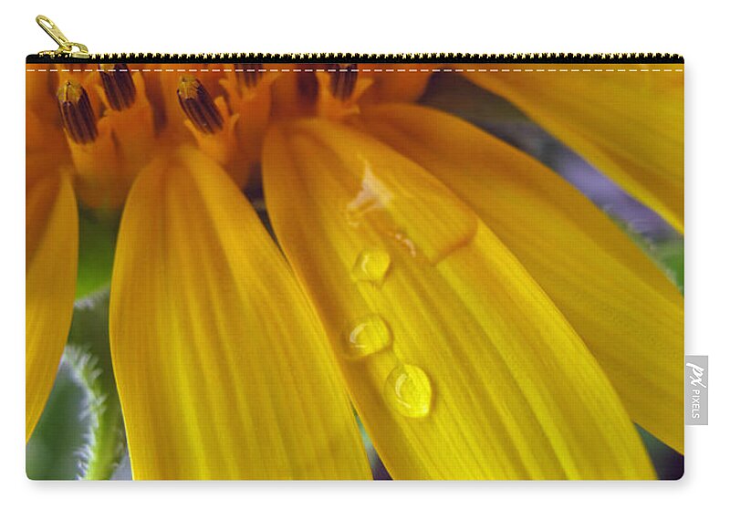Floral Zip Pouch featuring the photograph Summer Rain on Sunflower by Barbara McDevitt