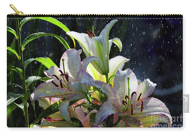 Summer Rain Zip Pouch featuring the photograph Summer Rain by Sharon Talson